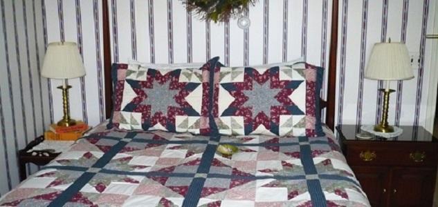 The South Glenora Tree Farm Bed and Breakfast Dundee Εξωτερικό φωτογραφία